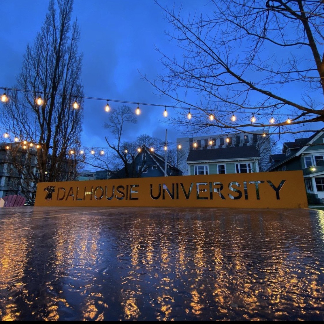TÌM HIỂU TRƯỜNG ĐẠI HỌC DALHOUSIE-TRƯỜNG ĐẠI HỌC LÂU ĐỜI NHẤT TẠI CANADA