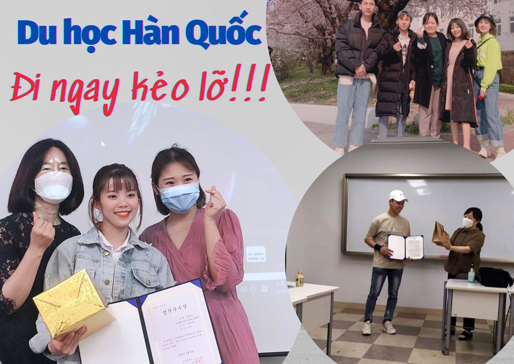 Du học Hàn Quốc uy tín nhất tại Hà Trung -Thanh Hóa